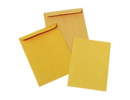 sachet_kraft_22_9x32_4cm_448788831